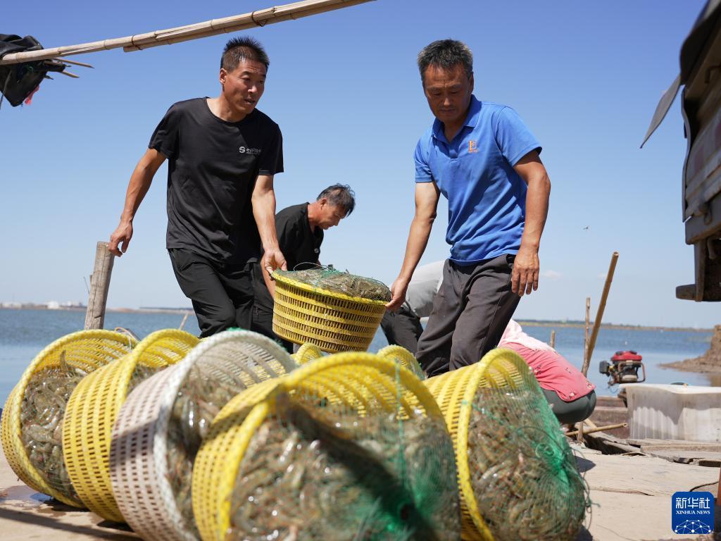 澳门新银河70808